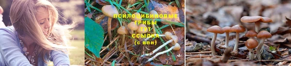 jwh Волосово
